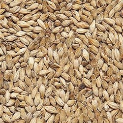 Солод Курский ячменный Pale Ale, Россия, КГ 26010