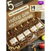 Набор Настойчивый Хозяин №3 (5 бутылки) 2476